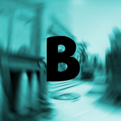 Berkofsky