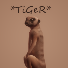 *TiGeR*