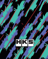 HKS