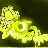 kot