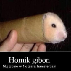BagietaZFurgonety