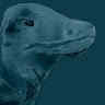 Symon