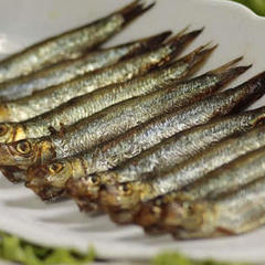 szprota
