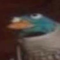 mrrczk