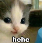 image.thumb.png.4f40888079deaf40f6398a2c5cddf1c7.png