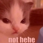 image.thumb.png.6217a9e300c4ea09476f52f1f4cc122f.png