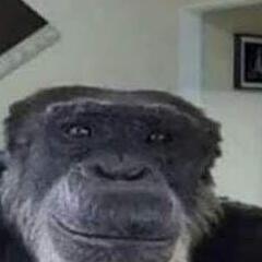 brunetki blondyki