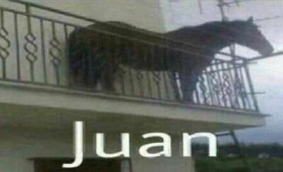 Juan1.thumb.jpg.0d24593afcb5561218b6c34eb9b314b2.jpg