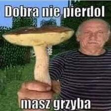 Kaszek