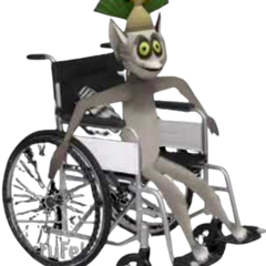 Mariusz2020