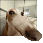 AB793F5D-5613-43E6-B937-06258FC5EA02.gif