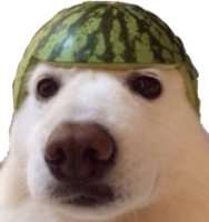 ꧁☆☬κɪɴɢ☬☆꧂