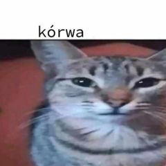 xaviersobased_xxx